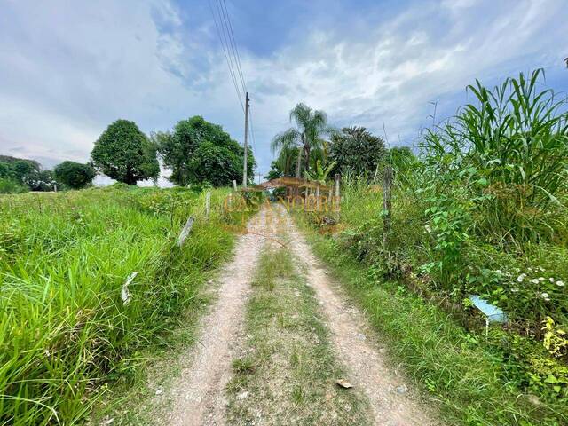#99 - Área para Venda em Taubaté - SP - 2