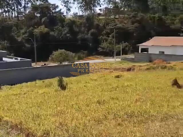 #108 - Área para Venda em Taubaté - SP - 1