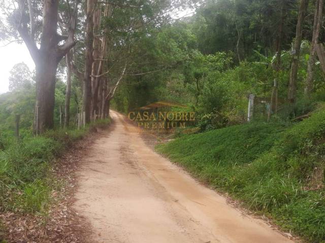 #181 - Sítio para Venda em Natividade da Serra - SP - 2