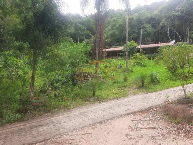 #181 - Sítio para Venda em Natividade da Serra - SP - 3