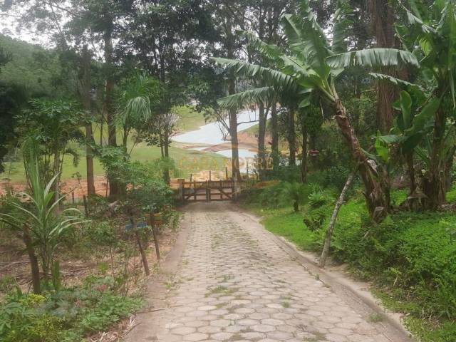 #181 - Sítio para Venda em Natividade da Serra - SP - 1