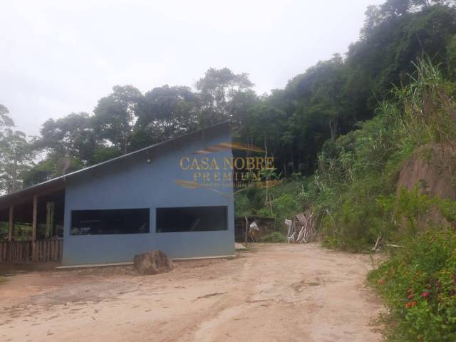 Sítio para Venda em Natividade da Serra - 5