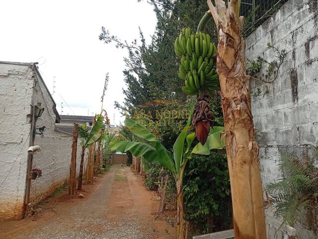 Chácara para Venda em Taubaté - 4