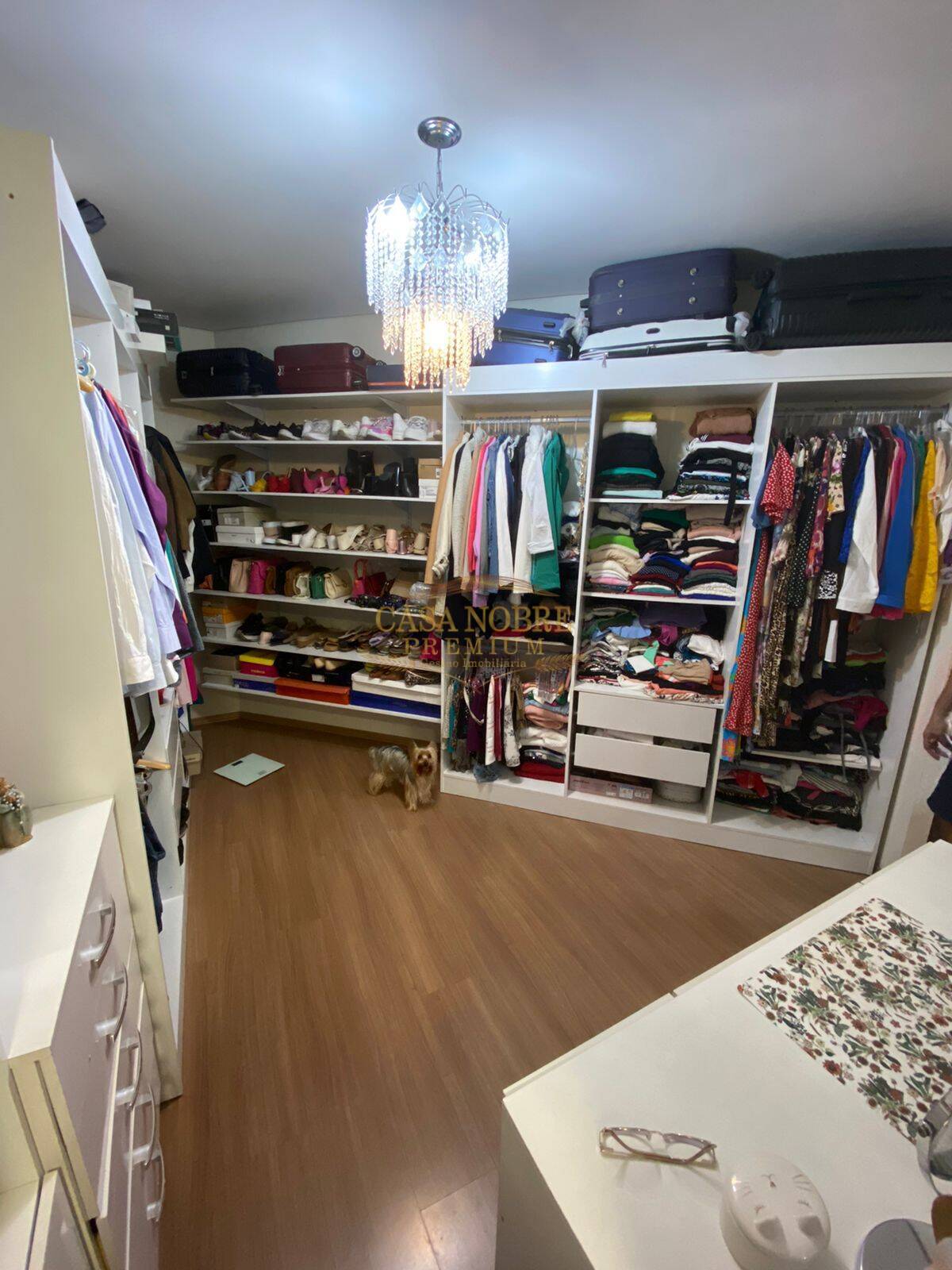 Apartamento, 3 quartos - Foto 14