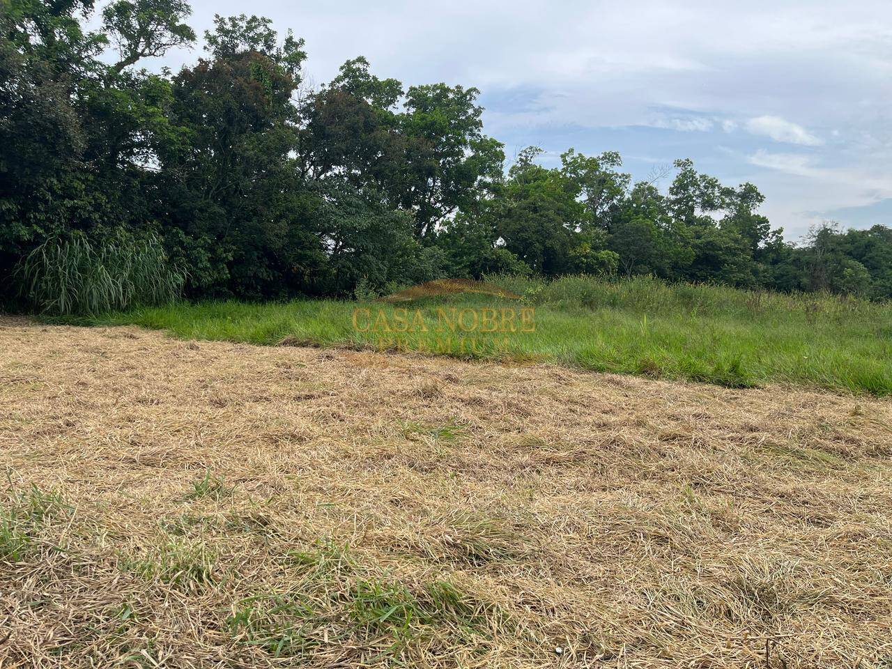 Terreno, 1180 m² - Foto 4