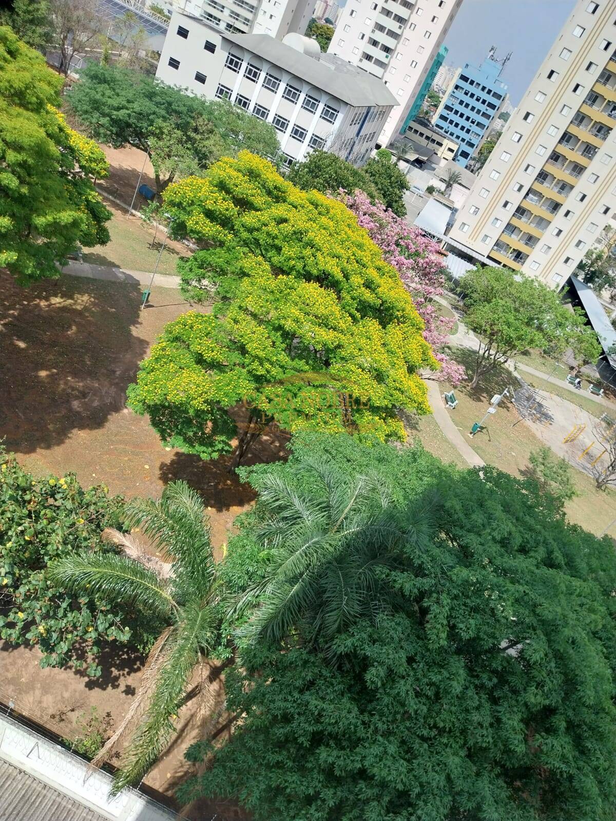 Casa, 3 quartos, 80 m² - Foto 17