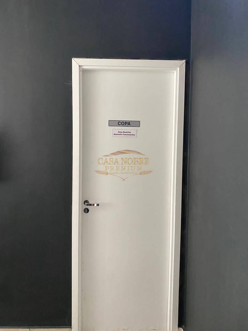 Sala-Conjunto, 251 m² - Foto 8