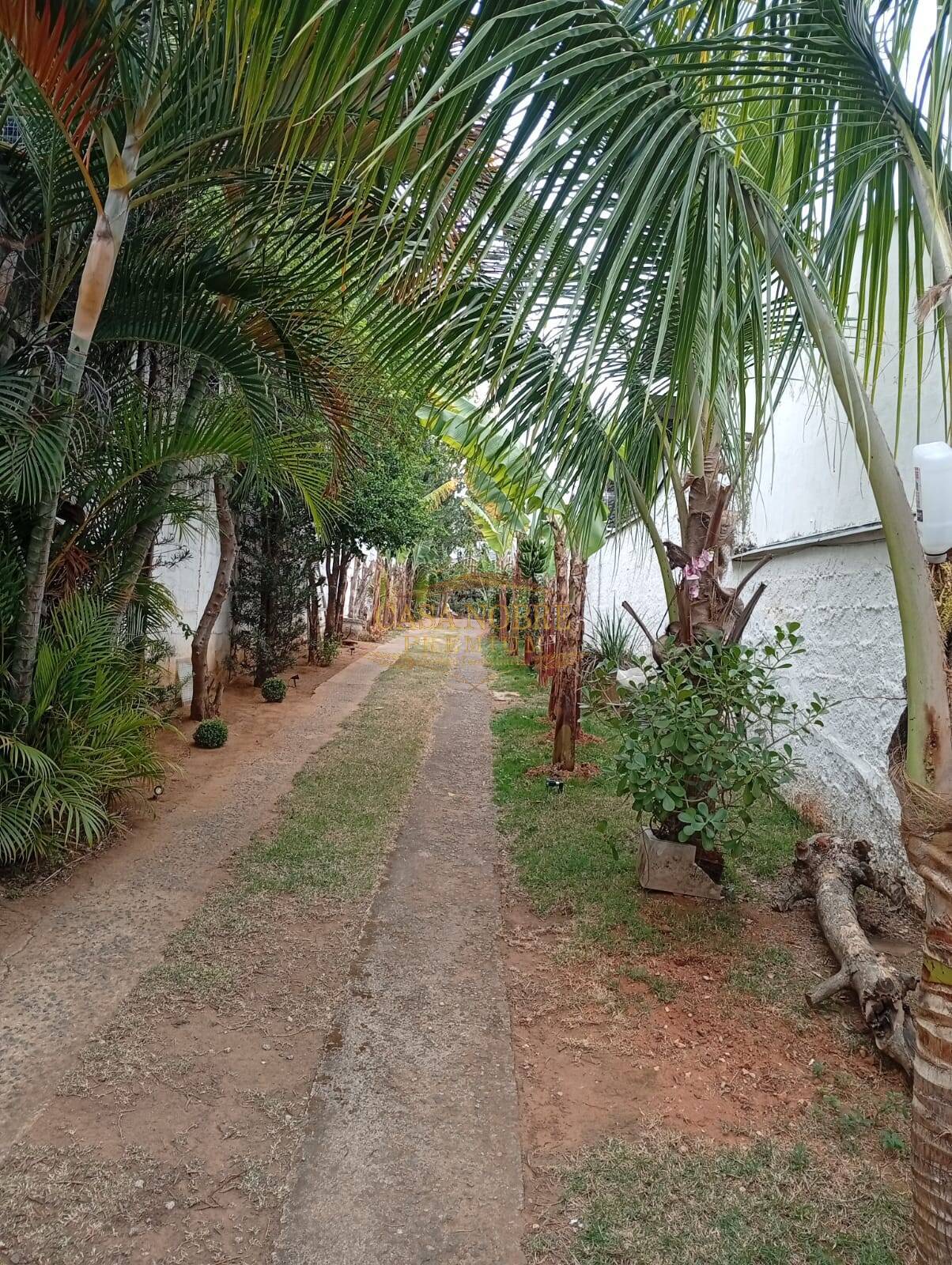 Sítio, 2 quartos, 900 m² - Foto 5